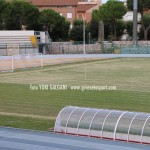 manutenzione del manto erboso dello Zecchini bis