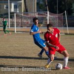 _MG_2533-2