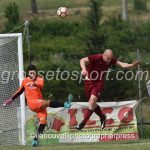 Roselle vs Zenith Audax (2)
