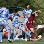 Roselle vs Zenith Audax (36)