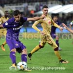 Fiorentina vs Torino (36)