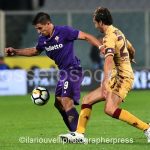 Fiorentina vs Torino (45)
