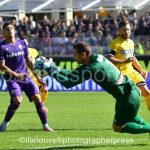 Fiorentina vs Udinese (14)