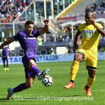 Fiorentina vs Udinese (15)