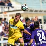 Fiorentina vs Udinese (19)