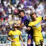 Fiorentina vs Udinese (20)