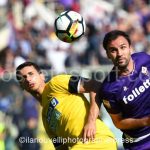 Fiorentina vs Udinese (24)