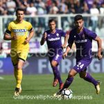 Fiorentina vs Udinese (26)