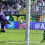 Fiorentina vs Udinese (27)
