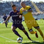 Fiorentina vs Udinese (37)