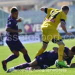 Fiorentina vs Udinese (39)