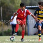 Grosseto vs S (26)