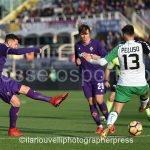 Fc Fiorentina vs Sassuolo (6)