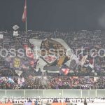 Fiorentina vs Inter (74)