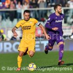Fiorentina vs Verona (12)