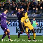 Fiorentina vs Verona (16)