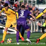 Fiorentina vs Verona (3)