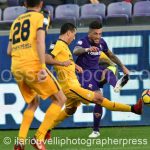 Fiorentina vs Verona (38)
