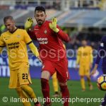 Fiorentina vs Verona (66)