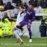 Fiorentina vs Chievo (44)