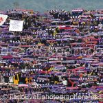 Fiorentina vs Benevento (1)