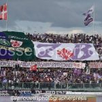 Fiorentina vs Napoli (16)
