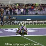 Fiorentina vs Napoli (4)