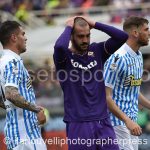 Fiorentina vs Spal (23)