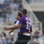 Fiorentina vs Udinese (10)