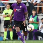 Fiorentina vs Udinese (29)