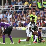 Fiorentina vs Udinese (34)