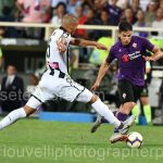 Fiorentina vs Udinese (45)