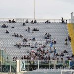 Fiorentina vs Udinese (53)