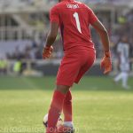 Fiorentina vs Udinese (74)