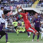 Fiorentina vs Udinese (85)