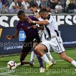 Fiorentina vs Udinese (91)