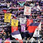 Fiorentina vs Parma (26)