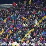 Fiorentina vs Genoa (34)