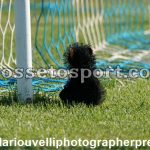 Albalonga vs Us Grosseto (57)