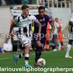 Fiorentina vs Udinese (1)