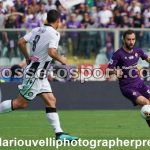 Fiorentina vs Udinese (20)