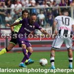 Fiorentina vs Udinese (21)