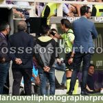 Fiorentina vs Udinese (22)