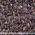 Fiorentina vs Udinese (36)