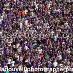 Fiorentina vs Udinese (39)