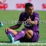 Fiorentina vs Udinese (42)