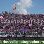 Fiorentina vs Udinese (74)