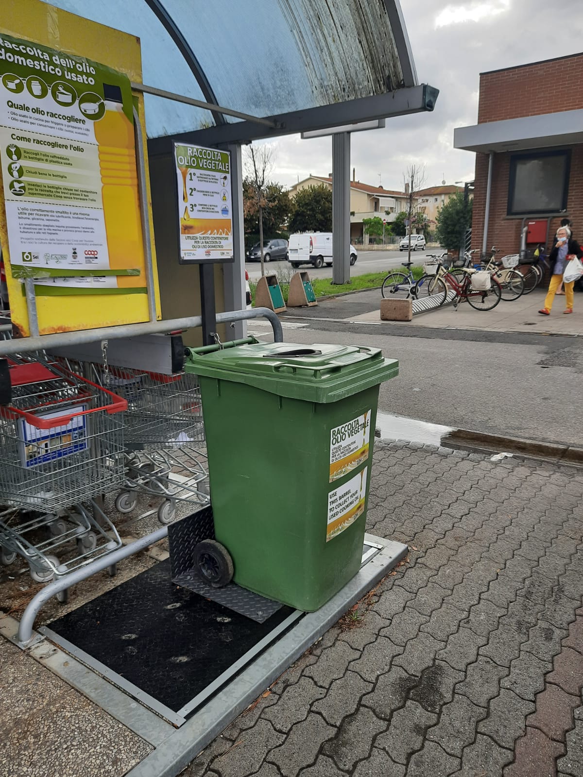 SeiToscana_raccolta_olio_Castagneto_Carducci