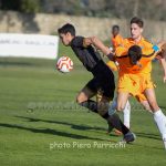 _DSC6953