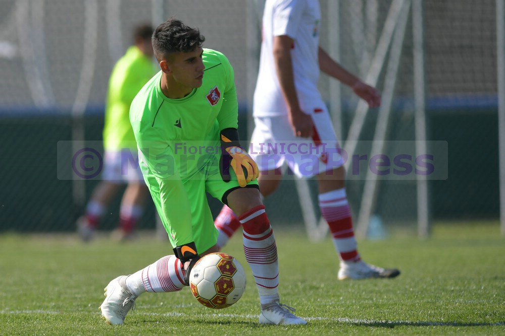 Matteo Comparini (foto di Fiorenzo Linicchi - Maremma Press)